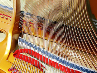 成為延長(zhǎng)農(nóng)業(yè)產(chǎn)業(yè)鏈、就業(yè)鏈和效益鏈,促進(jìn)農(nóng)民就業(yè)增收和現(xiàn)